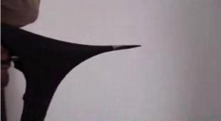 建筑建材领域技术转让与开发 引气剂、外墙弹性腻子粉、水泥脱模剂应用前景